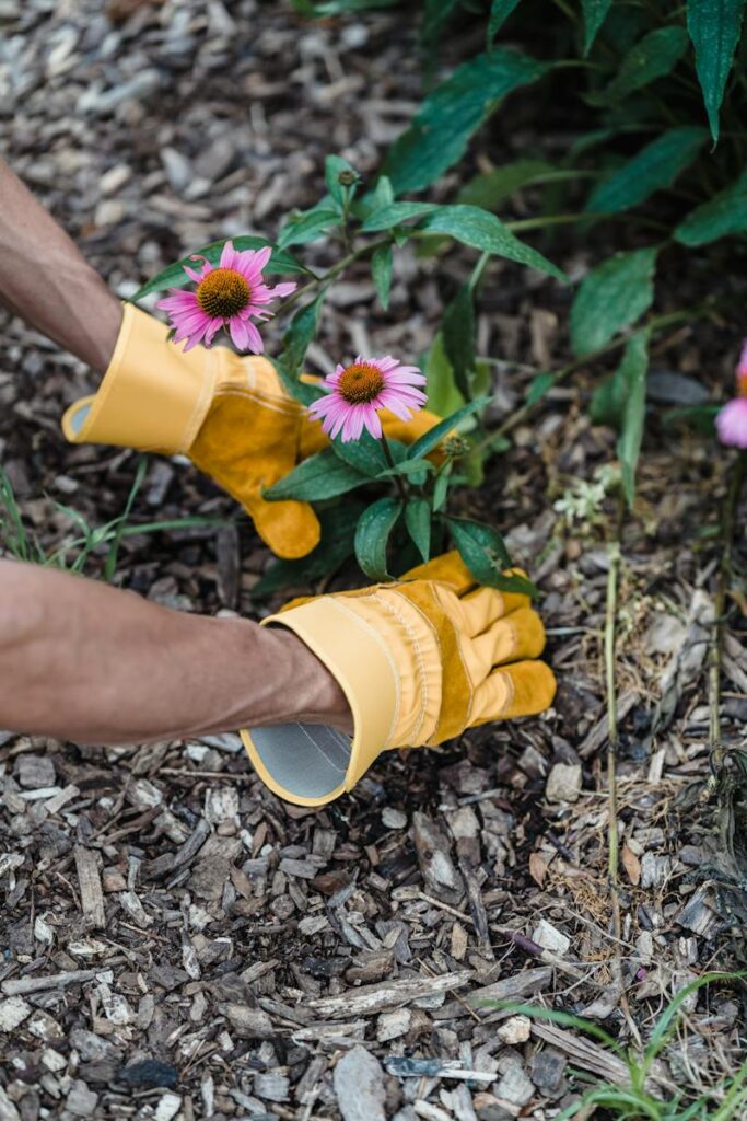 Person in Yellow Rain Boots Holding Yellow and Purple Flower Conservation Gardening