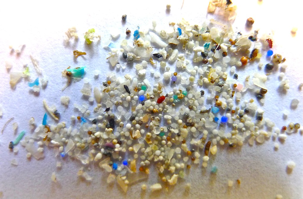 little pieces of microplastic pollution